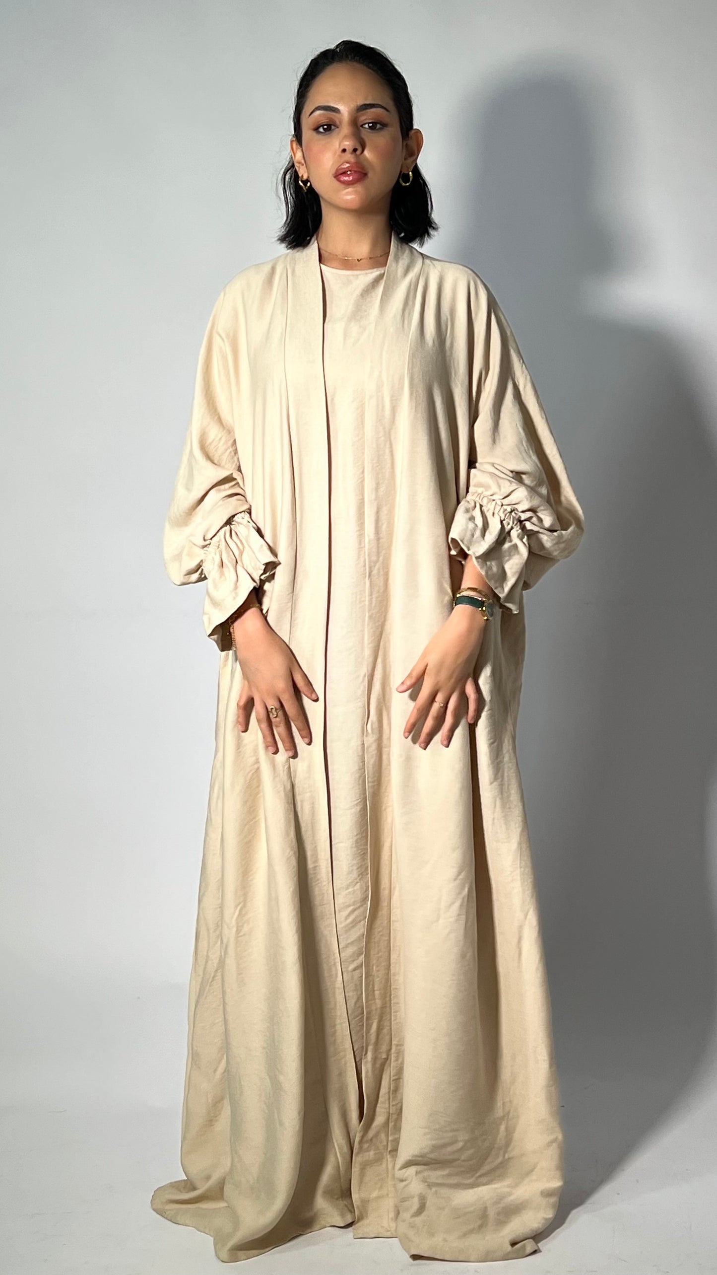Ensemble SAMIA