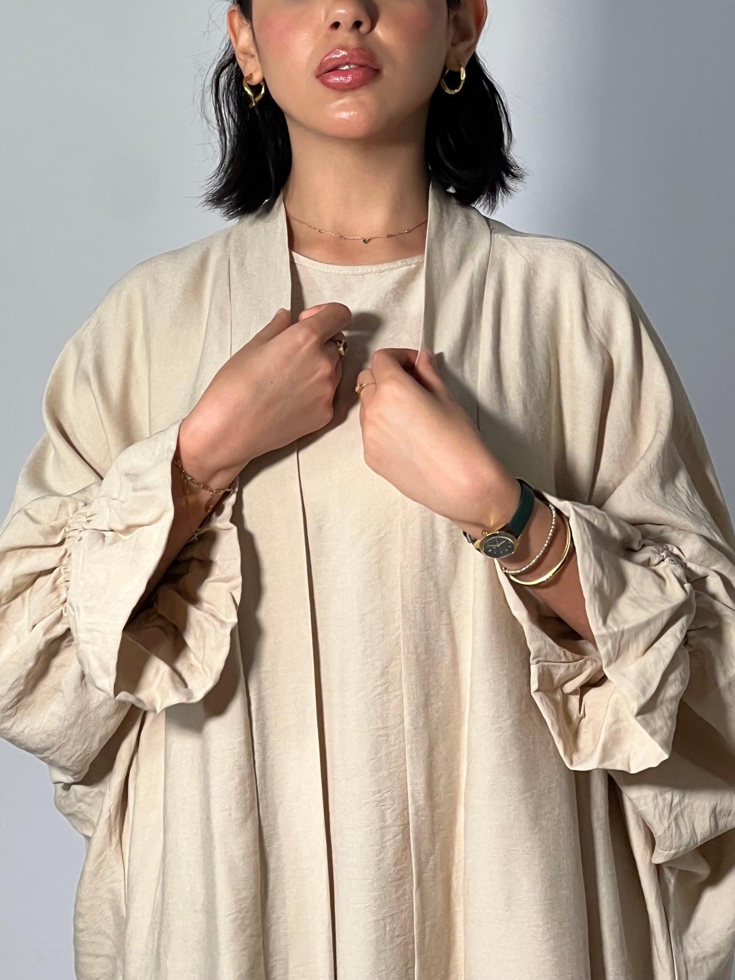 Ensemble SAMIA
